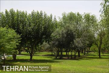 بوستان پردیس بانوان 16