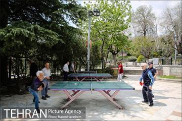 بوستان نیاوران در یک روز آفتابی 10