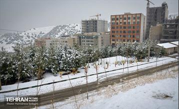 درکه پس از بارش برف  7