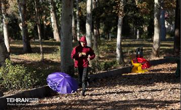 گذر پاییزی بوستان بعثت 26