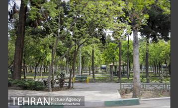 بازدید شهردار منطقه 16 از بوستان های شاخص منطقه در روز طبیعت 3