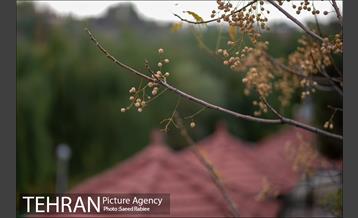 پاییز زیبای پایتخت- 3