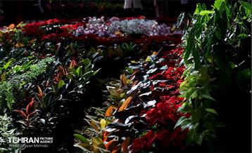 بیستمین نمایشگاه بین‌المللی گل و گیاه 53