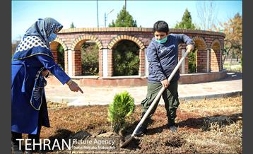 تور عکاسی از منطقه 16