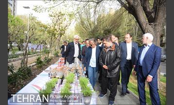 افتتاح نوروزگاه هنر در پیاده‌راه بلوار کشاورز 48