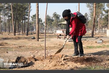 آیین یلدای مهربانی و کاشت نهال در بوستان سرخه حصار 29
