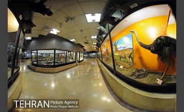 موزه حیات وحش پردیسان 49