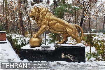 روز برفی میدان مشق و پارک شهر تهران 6