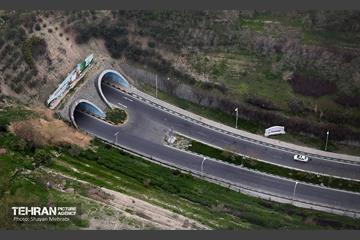 هوای پاک تهران 13