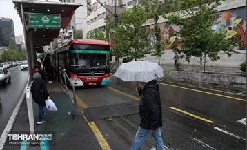 بارش باران بهاری در تهران - 2 14