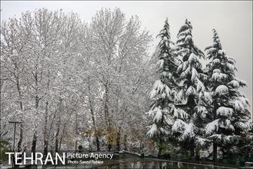 برف زمستانی پارک جمشیدیه 17