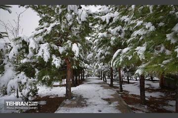 درکه پس از بارش برف  6