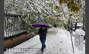بارش اولین برف پاییزی در تهران 8