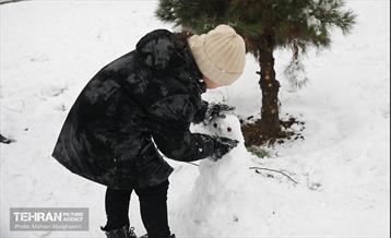 روز برفی تهران - 2 1