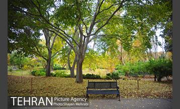 باغ گیاه‌شناسی ملی ایران 59