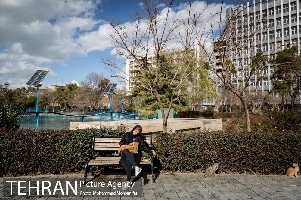 پارک شهر بعد از یک صبح بارانی 17