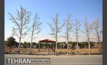 پارک جنگلی سرخه حصار 48