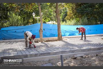 بازدید پرویز سروری از منطقه 17