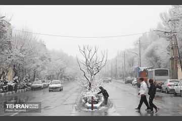 روز برفی تهران - 3 39