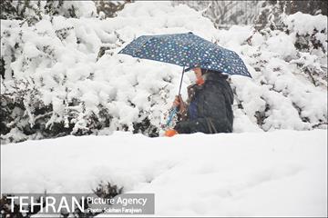 بارش برف زمستانی در تهران-2 33