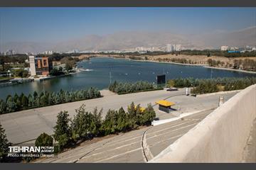 نیم قرن آزادی  17