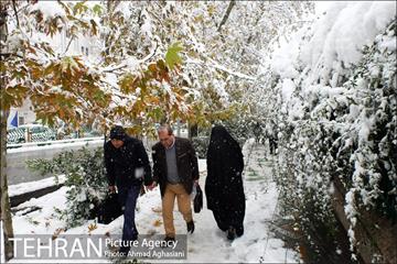 بارش اولین برف پاییزی در تهران 10