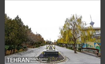 باغ راه فدک 25