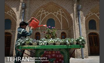 در پس کوچه های تهران قدیم 16