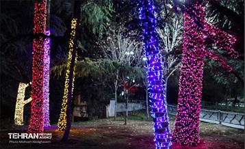 جشنواره «نور در یلدای ایرانی» در بوستان ملت 11