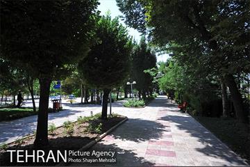 بوستان تمدن (گلبرگ) 14