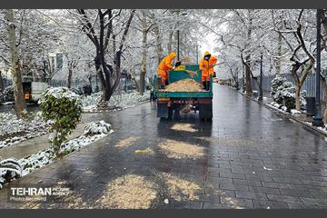 روز برفی تهران - 3 6