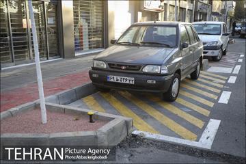 پارک خودرو‌ بین درختان چنار 13