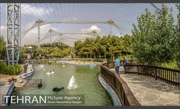 باغ پرندگان فاز دوم 20