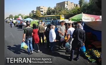 میوه فروشان خیابانی 15