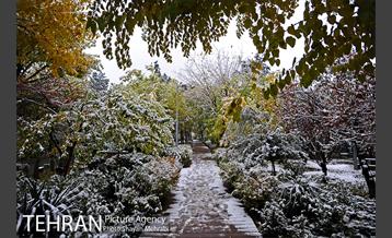 بارش برف پاییزی در بوستان طالقانی 8
