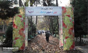 ضیافت طعم و رنگ در منطقه ۹ 3