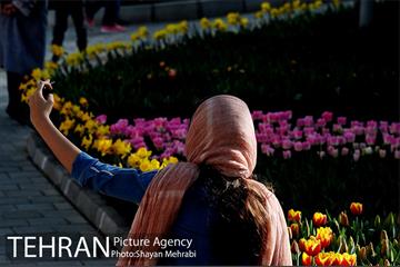 پیاده راه لاله مادران 39