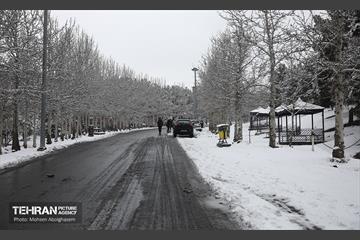 روز برفی تهران - 2 37