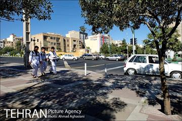 خیابان جنت آباد 6