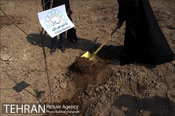 کاشت نهال در بوستان ولایت  36