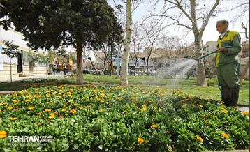 استقبال از بهار - 5 60