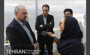 بازدید مدیر کل دفتر شهردار تهران از منطقه 21 32