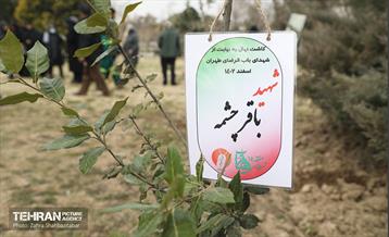 مراسم درختکاری در منطقه 15 1