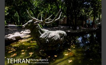 شهرنگار؛ پارک اندیشه 21