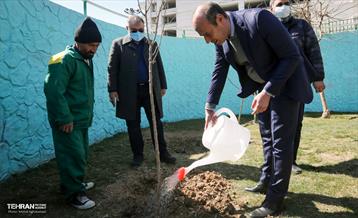 گرامیداشت سرو قامتان شهید سلامت در منطقه ۸