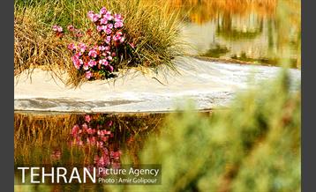 آبشار رنگارنگ 12