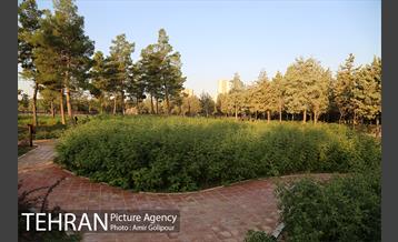 باغ راز هستی 5