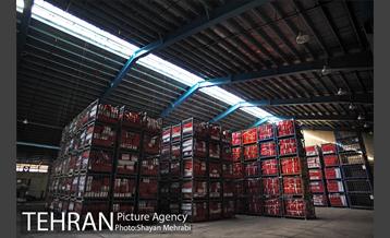 بازدید احمد مسجد جامعی از مراکز مرتبط با زلزله تهران 30