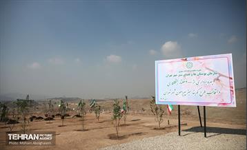 نشست خبری معاون خدمات شهری و محیط زیست 10