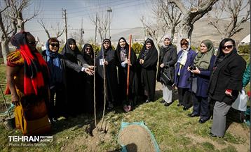 آیین درختکاری در منطقه‌5 18